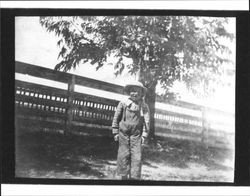 Unidentified Petaluma, California farm boy, about 1910