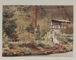 Sumagawa Nursery exhibit at the Hall of Flowers at the Sonoma County Fair, Santa Rosa, California