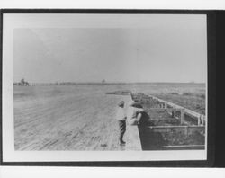 Cotati racetrack, Cotati, California, about 1929