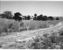 Masciorini Ranch southeast of Petaluma, California, July 2005,showing the rear of the residence and the milk shed (wash room)