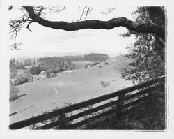 Looking east to Santa Rosa and Mt. St. Helena from English Hill on Burnside Road, Sebastopol, California, 1960