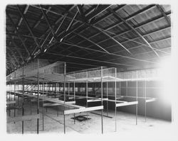 Chickens in cages at Redwood Ranch, Windsor, California, 1964