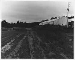 Idaco Lumber Company, Healdsburg, California, 1959