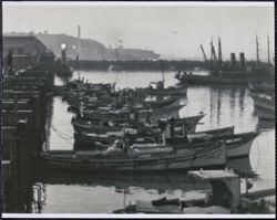 Moored fishing boats at Fisherman's Wharf, 41 The Embarcadero, San Francisco, California, 1920s