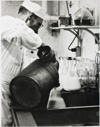 Stan Buckett pouring starter into glass flasks at the Petaluma Cooperative Creamery lab, about 1955