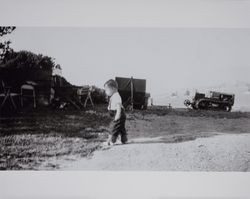 Unidentified toddler on the Volkerts ranch and dairy, Two Rock, California, 1940s