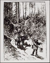 Logging on Austin Creek, Cazadero, California, May 1883