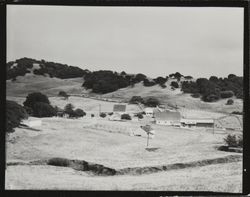 Unidentified dairy near Petaluma