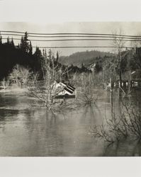 Flooding along Russian River, Guerneville, California, March 1940