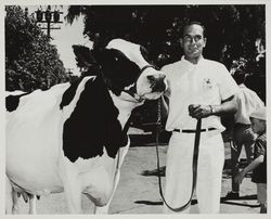 Kip Herzog and his Champion Holstein dairy cow at the Sonoma County Fair, Santa Rosa, California