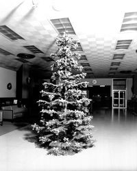 Exchange Bank's Christmas tree, Santa Rosa, California, 1967