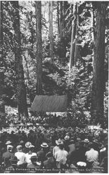 Concert in Bohemian Grove. Russian River, California