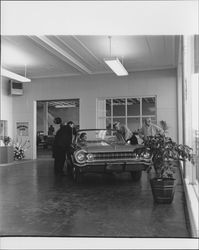 Grand opening of the Gary Walsh Dodge dealership, Petaluma, California, 1962