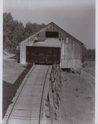 Loading the hops into the hop barn on Wohler Road, Healdsburg, California, in the 1920s