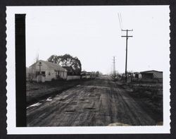 Looking west on Ditty Road from Station 29+00