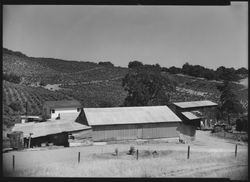 Unidentified Sonoma County vineyard and vineyard buildings, photographed between 1948 and 1965