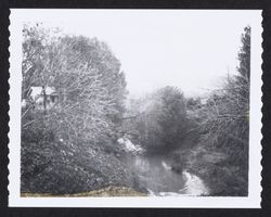 Looking east on Matanzas Creek from backyard of 2433 Melbrook Way, Santa Rosa, California, 1966