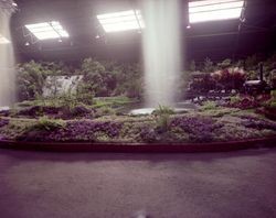 Unidentified exhibit at the Hall of Flowers at the Sonoma County Fair, Santa Rosa, California