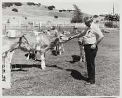 Wes Jamison at the Stornetta Dairy, 3142 Carneros Highway, Sonoma, California, 1976