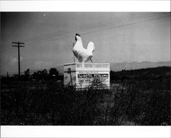 Chicken statue advertising new Hotel Petaluma, Petaluma, California, 1938