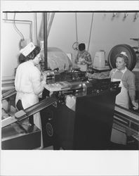 Processing chickens at Reif and Brody, Petaluma, California, 1960