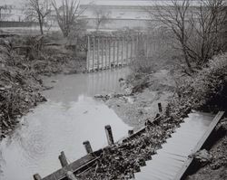 Washout near the Pearson Street Bridge, Sonoma, California, January 22, 1956