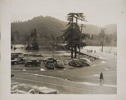 Russian River flood at Guerneville Bridge