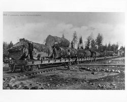 Logging train in California