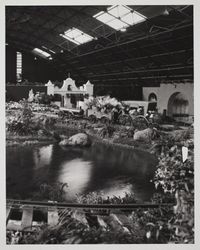 Go West flower show at the Hall of Flowers at the Sonoma County Fair, Santa Rosa, California, 1977