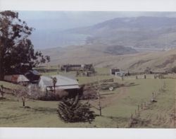 Wright Hill or Poff ranch, north of Bodega Bay, California, in the 1980s