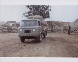 Sheep truck at the Wright Hill/Poff Ranch, north of Bodega Bay, California, in the 1980s