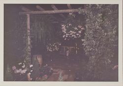 Rustic patio display at the Hall of Flowers at the Sonoma County Fair, Santa Rosa, California, 1969