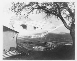 Unidentified ranch in Sonoma County, California, 1960s?