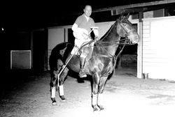 Santa Rosa polo players