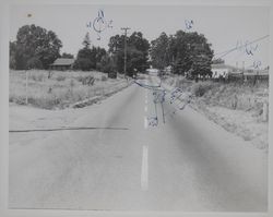 Guerneville Highway 116 headed into Forestville, California, July 18, 1954