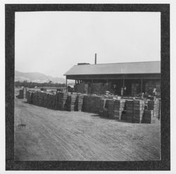 Crates of fruit at Walden and Company, Geyserville, California, 1899