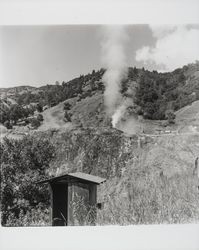 Remains of the mining buildings at Mercuryville