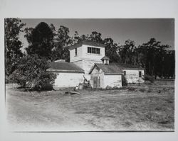 Bihler Ranch, Petaluma, California, 1995