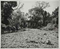 Farmers Lane Bridge from the Santa Rosa Creek bed