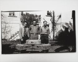 Pioneer Hatchery works with boxes of chickens, Petaluma, California, 1937