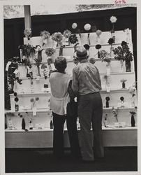 Spectators enjoy the flower specimens at the Hall of Flowers at the Sonoma County Fair, Santa Rosa, California