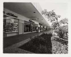 Coddingtown Shopping Mall, Santa Rosa , California, 1967