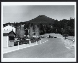 View of the site of a proposed warehouse at Chateau St. Jean