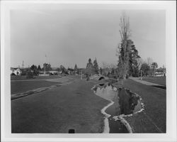 Juilliard Park, Santa Rosa, California, 1953