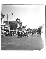 Equestrian units in the Sonoma-Marin Fair Parade, Petaluma, California, 1967
