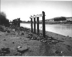 Petaluma River Landing pilings (northern part) located on the Masciorini Ranch near Petaluma, California, looking toward the south, July 2005