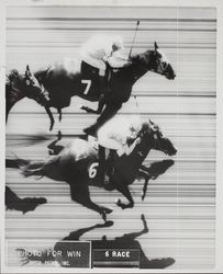 Finish photo for win at the Sonoma County Fair, Santa Rosa, California, July 19, 1969