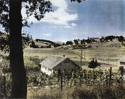 911 Sunnyslope Road, Petaluma, California, about 1930