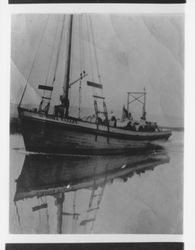 Scow "Sonoma Valley" carrying barrels, Petaluma, California, 1908