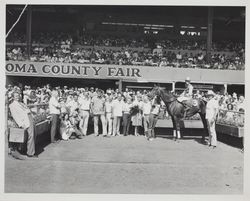 Winning horse and jockey with fans in the Winner's Circle at the Sonoma County Fair Racetrack, Santa Rosa, California